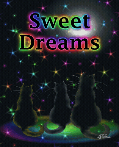 Three Cats Sitting On Rainbow Sweet Dreams GIF