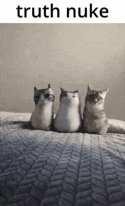 Three Cats Sitting With Truth Nuke Above GIF