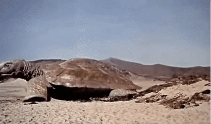 Three Caveman Versus Giant Turtle GIF