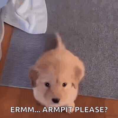 Three Cheerleaders Holding Up Arms GIF