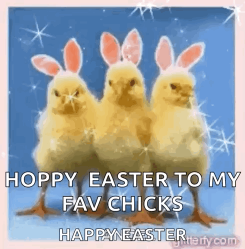 Three Chickens With Bunny Ears On Their Heads Are Standing Next To Each Other . GIF