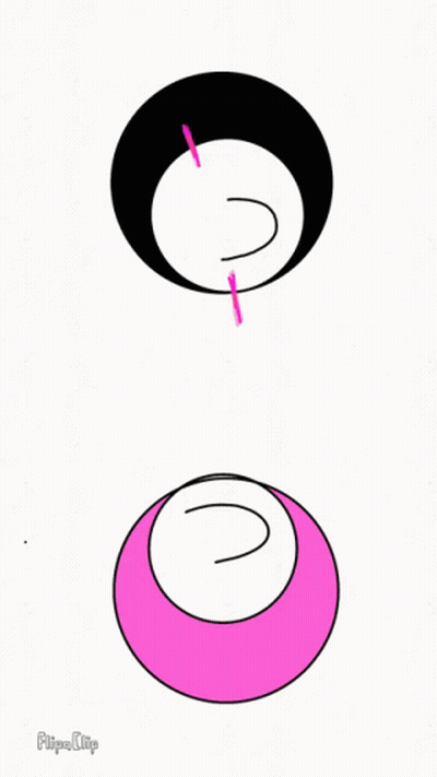 Three Circles With Heart And Letter D GIF