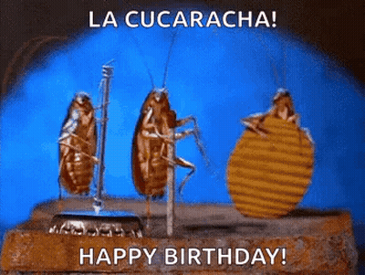 Three Cockroaches Are Standing Next To Each Other On A Brick With The Words La Cucaracha Happy Birthday . GIF