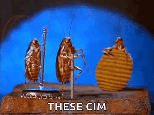 Three Cockroaches Are Standing Next To Each Other On A Brick With The Words These Cim Written On The Bottom . GIF