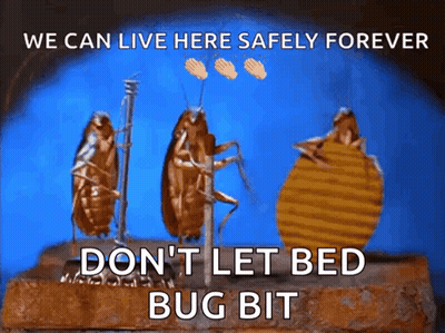 Three Cockroaches Standing Next To Each Other With The Words " We Can Live Here Safely Forever " GIF
