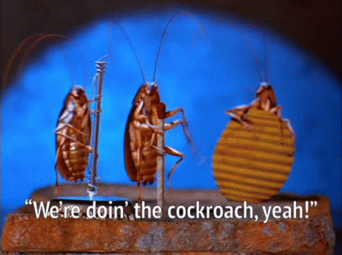Three Cockroaches Standing Next To Each Other With The Words " We 'Re Doin ' The Cockroach Yeah Yeah " GIF