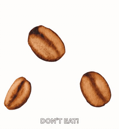 Three Coffee Beans Don T Eat GIF