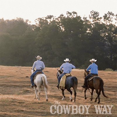 Three Cowboys Riding Horses GIF