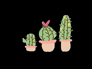 Three Cute Cactus Plant