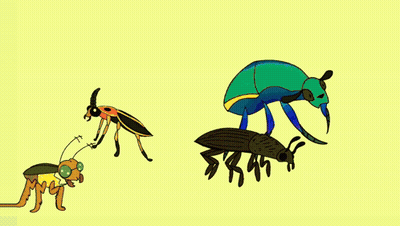 Three Different Beetles On Yellow Background GIF