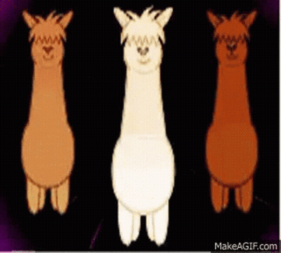 Three Different Colored Llamas Are Standing Next To Each Other On A Dark Background . GIF
