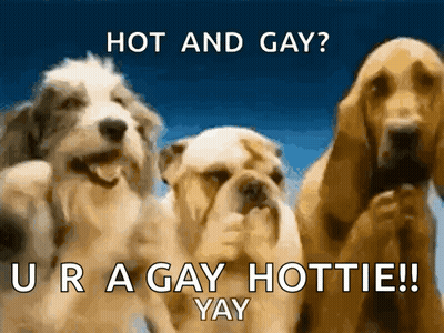 Three Dogs Hot And Gay GIF