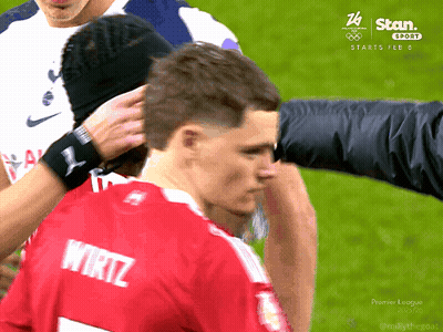 Three Dogs Running On Field Germany Wins GIF