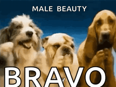 Three Dogs Standing Male Beauty Bravo GIF
