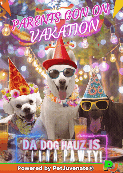 Three Dogs Wearing Party Hats And Sunglasses Are On A Poster That Says Parents Con On Vacation GIF