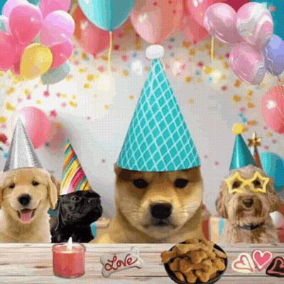 Three Dogs Wearing Party Hats Are Sitting At A Table With Balloons And Treats GIF