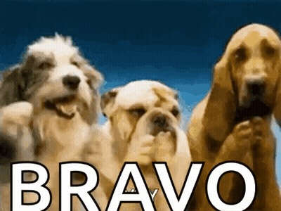 Three Dogs With Bravo GIF