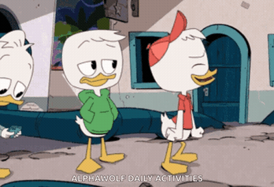 Three Ducks Standing With Caption Alphawolf Daily Activities GIF