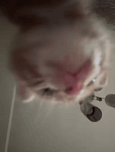 Three Fairies Standing With Eyes Wide Open GIF