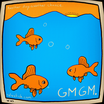 Three Fish Another Day Another Chance Gmgm GIF