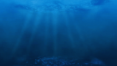 Three Fish Are Swimming In A Row In The Water GIF