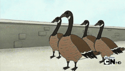 Three Geese Are Standing Next To Each Other In Front Of A Wall With Cn Hd Written On The Bottom GIF
