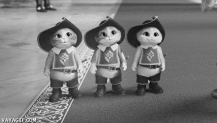 Three Gentlemen Cat Knight GIF