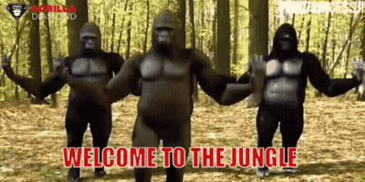 Three Gorillas Are Dancing In The Woods With The Words Welcome To The Jungle Written Below Them GIF