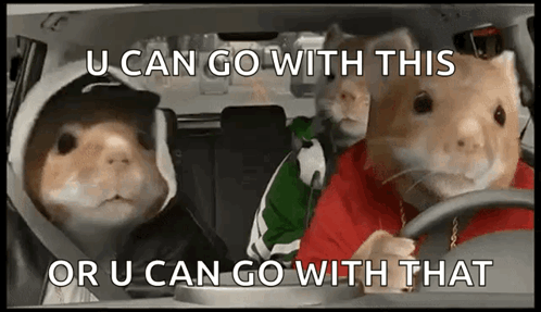 Three Hamsters Are Driving A Car With The Caption U Can Go With This Or U Can Go With That GIF