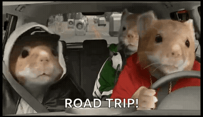 Three Hamsters Are Driving A Car With The Words Road Trip Written On The Bottom . GIF