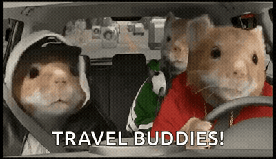 Three Hamsters In A Car Saying Travel Buddies GIF