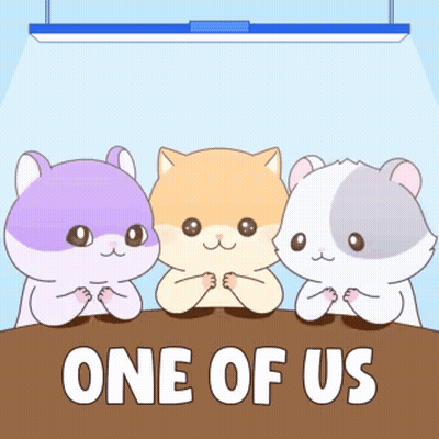 Three Hamsters Sitting At Table GIF