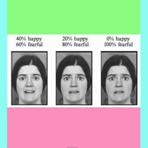 Three Images Of Woman's Face With Happy And Fearful Percentages GIF