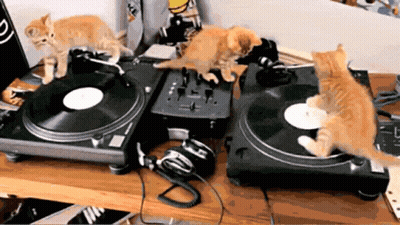 Three Kittens Playing Music On Turntable GIF
