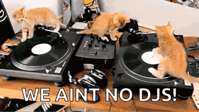 Three Kittens Playing Music We Ain't No DJs