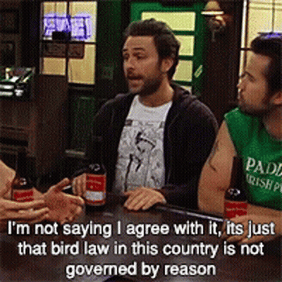 Three Men Are Sitting At A Bar Talking And One Of Them Is Wearing A Green Shirt That Says Paddy GIF