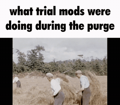 Three Men in a Field Saying What Trial Mods Were Doing During the Purge