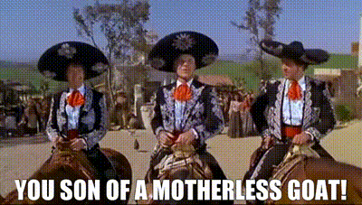 Three Men In Mariachi Costumes Are Riding Horses With The Caption You Son Of A Motherless Goat . GIF