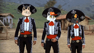 Three Men In Mariachi Outfits With Cats On Faces GIF