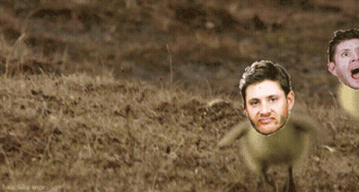 Three Men With Open Mouths In Grass GIF