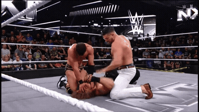 Three Men Wrestling In Ring GIF