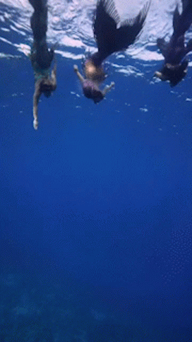 Three Mermaids Swimming In Ocean GIF