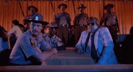 Three Orange Whips GIF