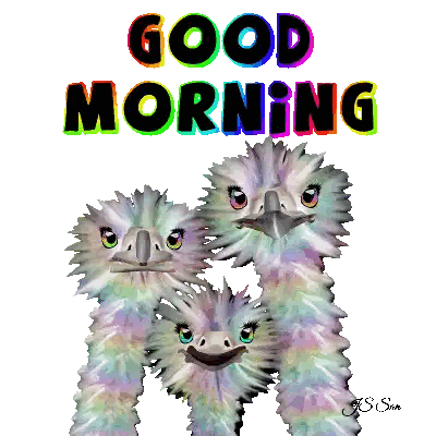 Three Ostrich Heads Saying Good Morning Sticker
