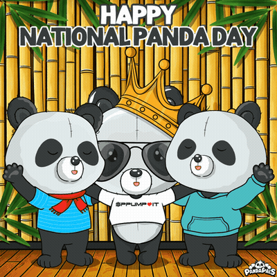 Three Panda Bears Bamboo Wall Happy National Panda Day GIF