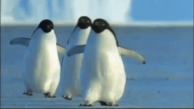 Three Penguins Are Standing Next To Each Other On Top Of A Snow Covered Beach . GIF