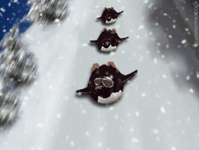 Three Penguins Wearing Goggles Skiing Down Snowy Hill GIF