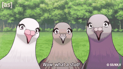Three Pigeons Are Standing Next To Each Other With The Words Wow What A Stud GIF