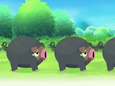 Three Pigs With Pink Noses In Field GIF