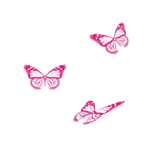Three Pink Butterflies Flying In A Circle Sticker